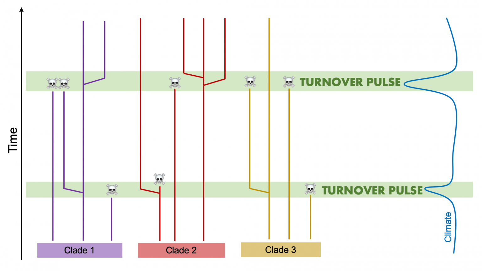 5.3 Abiotic Vs. Biotic Causes Of Macroevolution | Digital Atlas Of ...