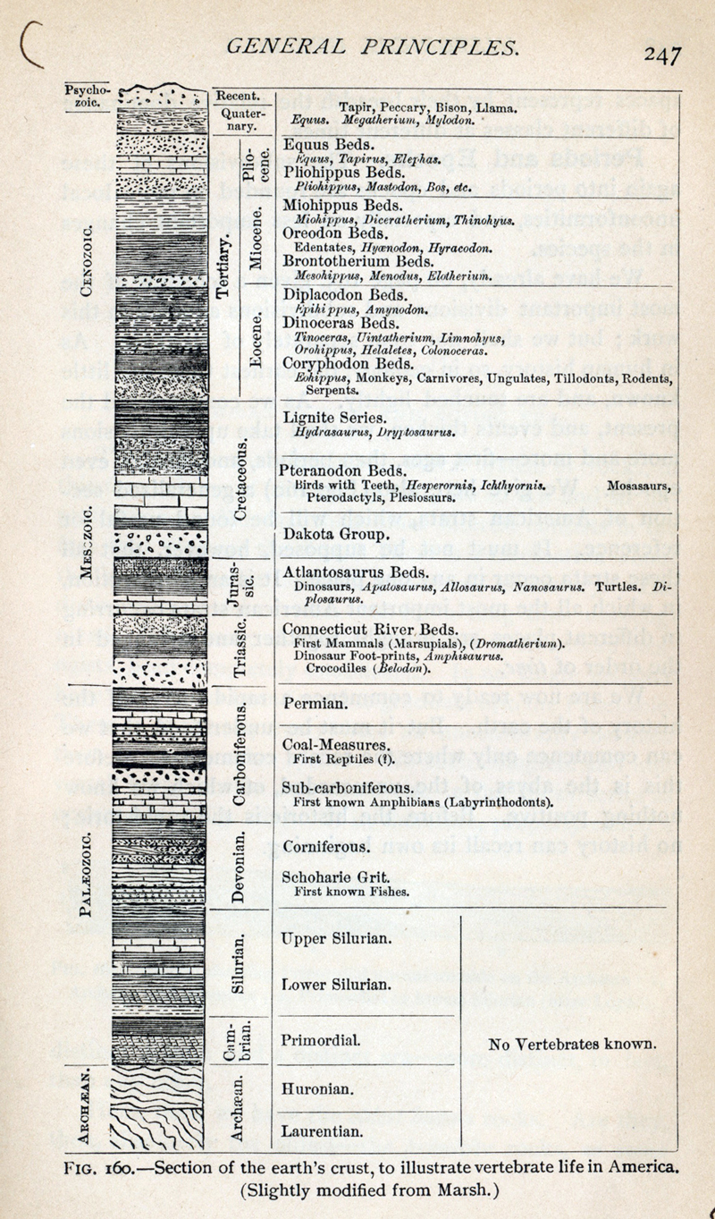 GeologicalTimeScale-LeConte-1885.jpg