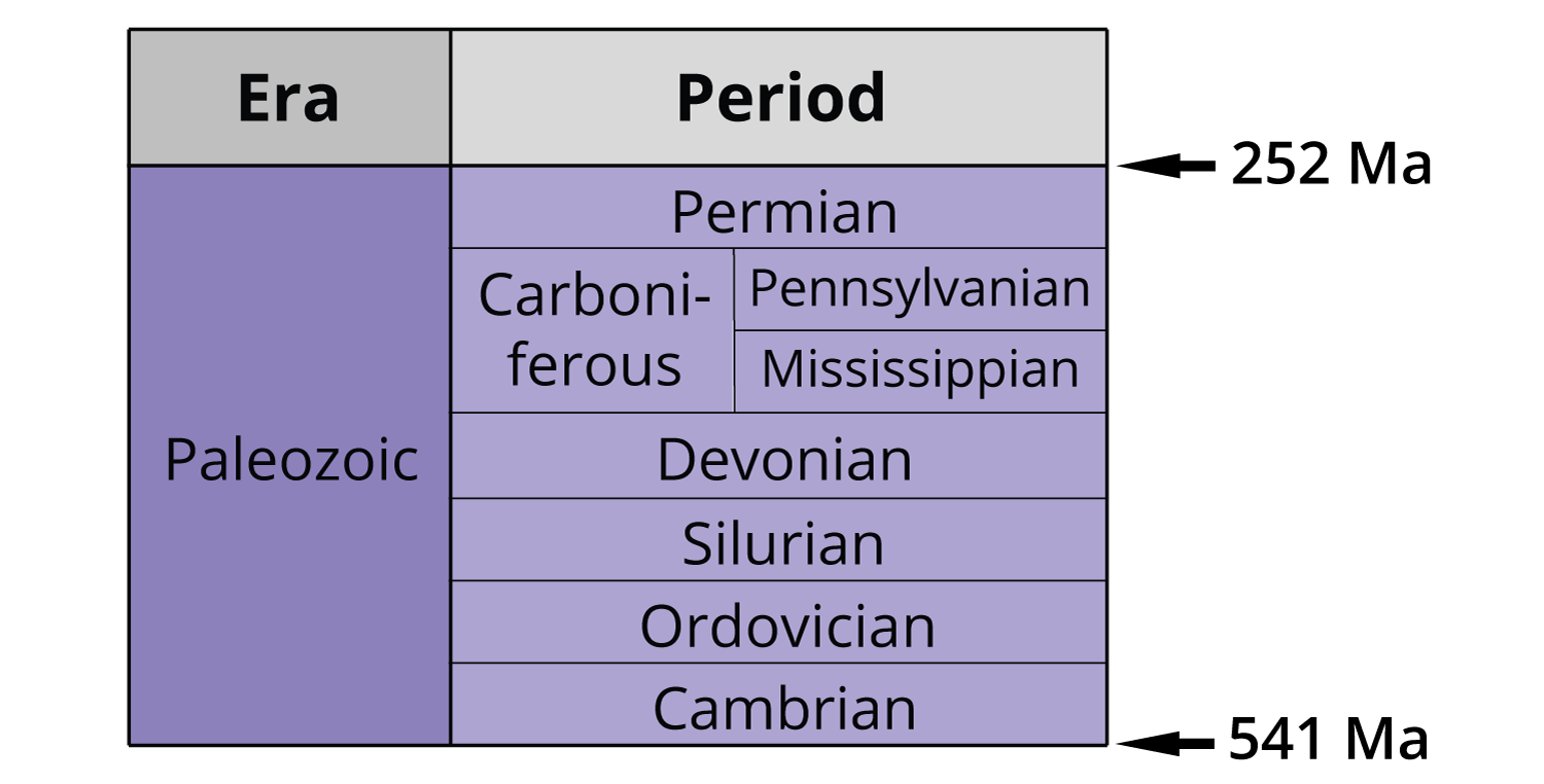 What are the 4 major divisions of geologic time?