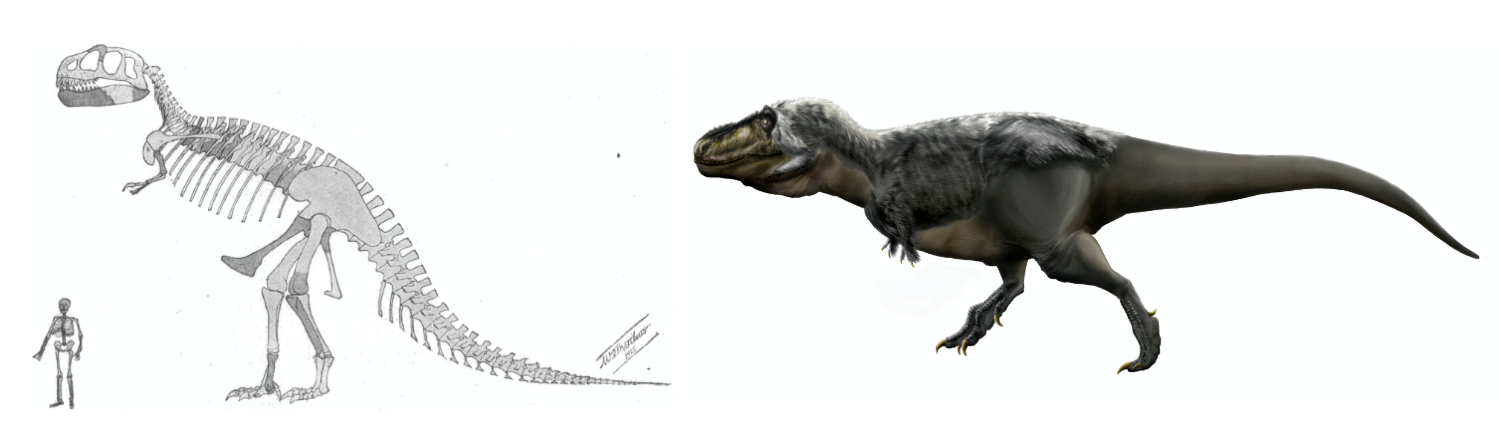 Auburn professor's research indicates Tyrannosaurus rex, Velociraptor  dinosaurs had lips, contrary to popular belief
